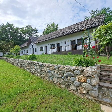 Villa Casa Morii Ohaba Exterior foto