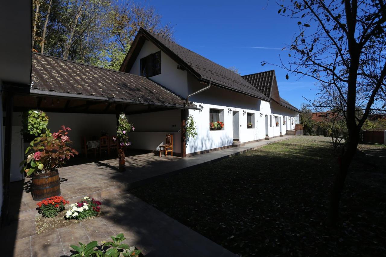 Villa Casa Morii Ohaba Exterior foto