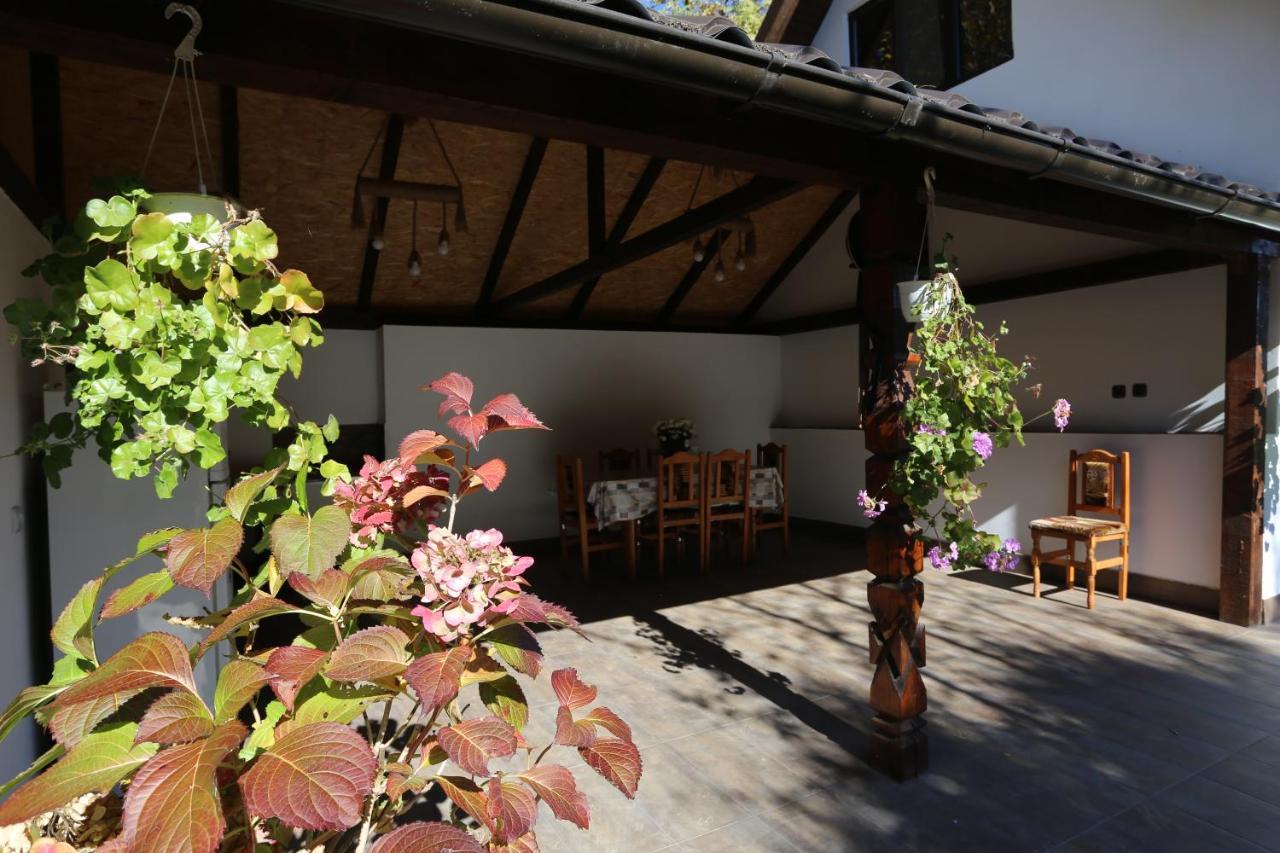 Villa Casa Morii Ohaba Exterior foto