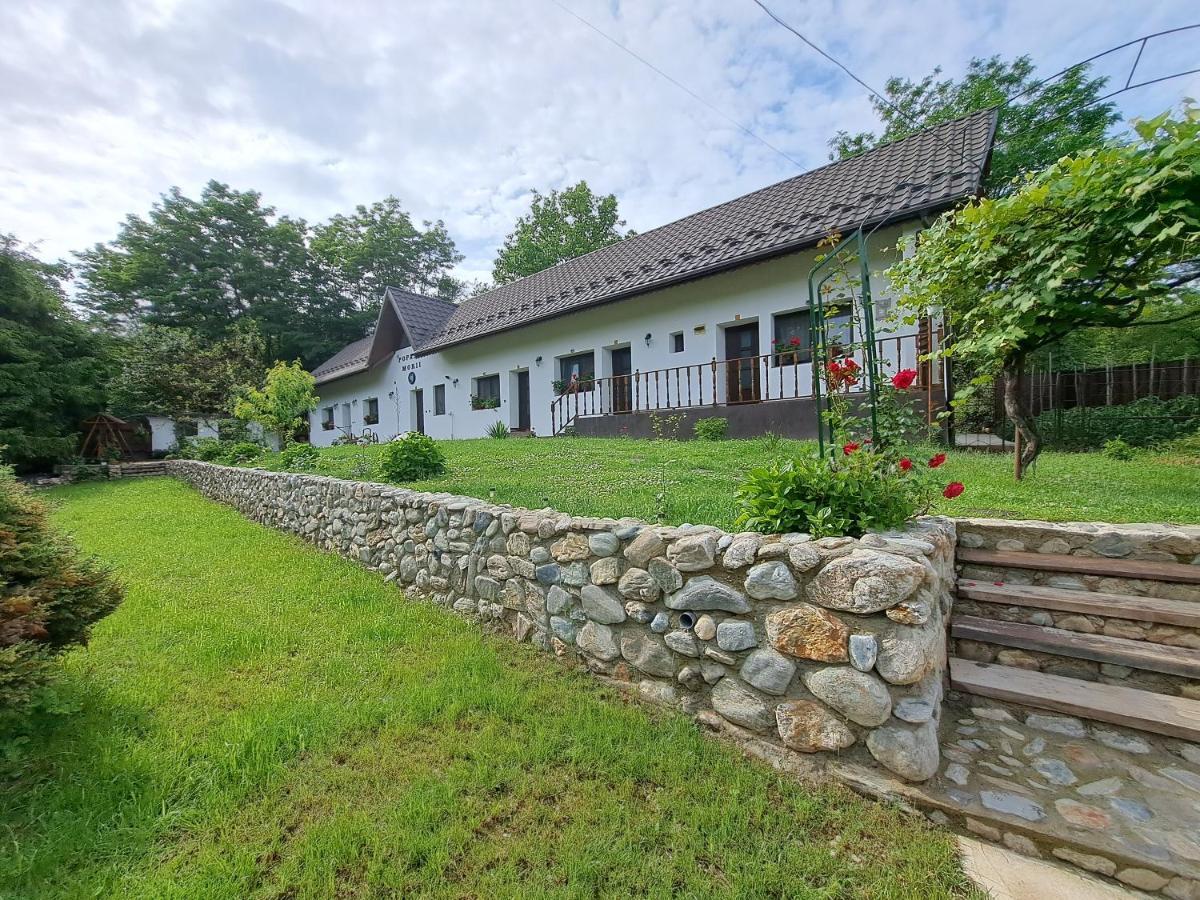 Villa Casa Morii Ohaba Exterior foto