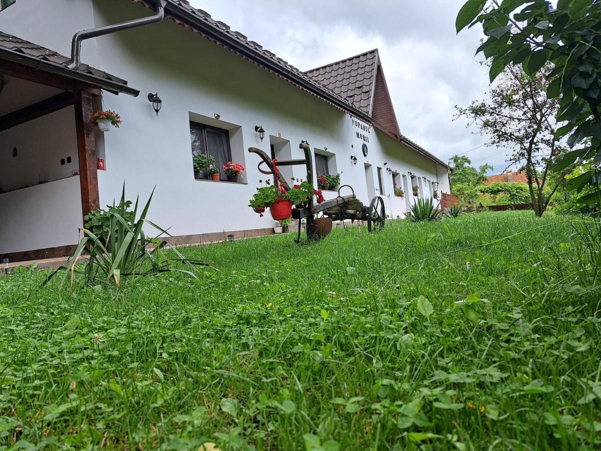 Villa Casa Morii Ohaba Exterior foto